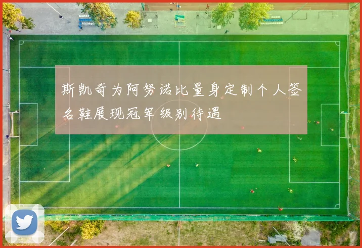斯凯奇为阿努诺比量身定制个人签名鞋展现冠军级别待遇
